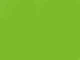 Rollen - Einschlagpapier Farbe: hellgrün
