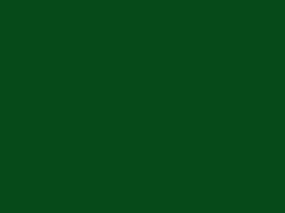 Rollen - Einschlagpapier Farbe: dunkelgrün